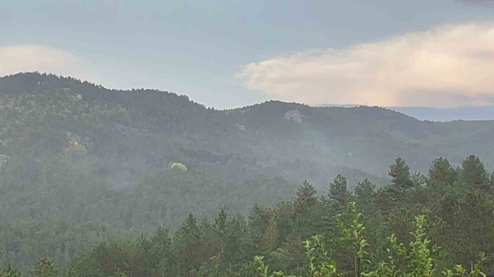 Kastamonu’daki orman yangınları kontrol altına alındı
