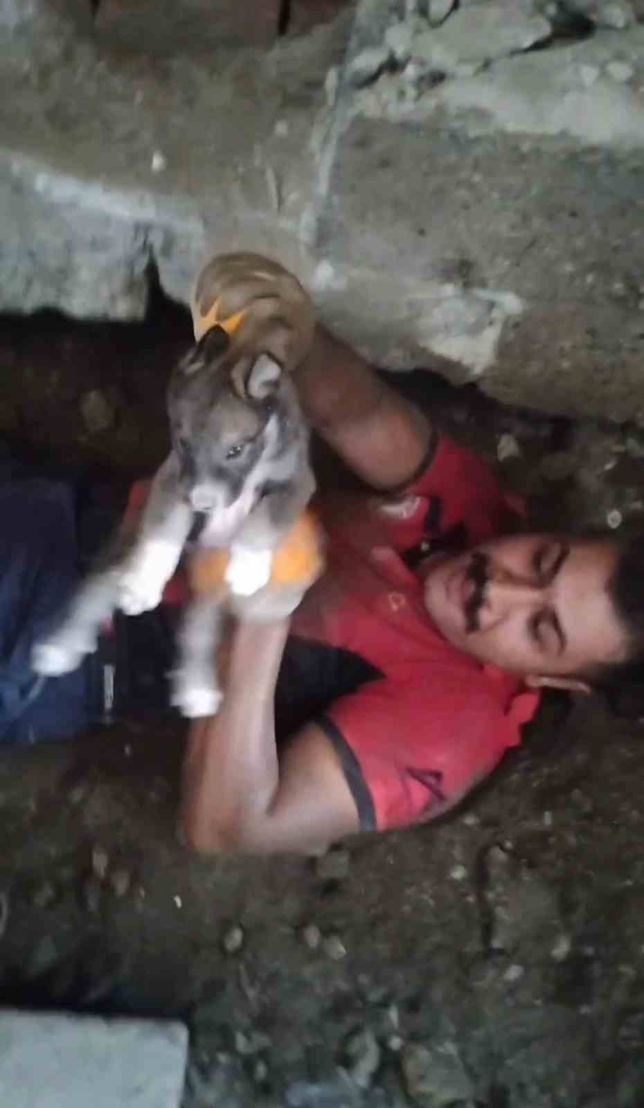 Yavru köpeği sıkıştığı yerden itfaiye ekipleri kurtardı
