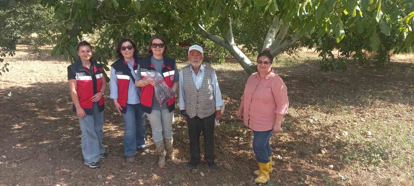 K&uuml;tahya&rsquo;da kiraz ve vişne numunesi alımları
