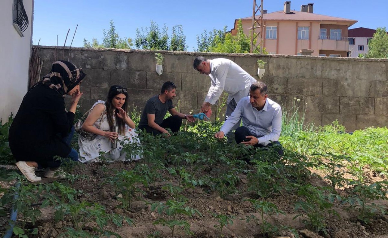 Müdür Yiğit ilçedeki sebze alanlarını inceledi