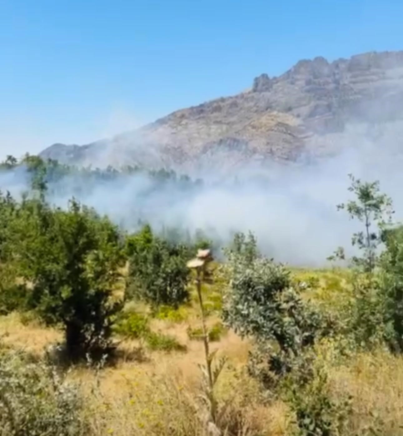 Şırnak’ta orman yangını
