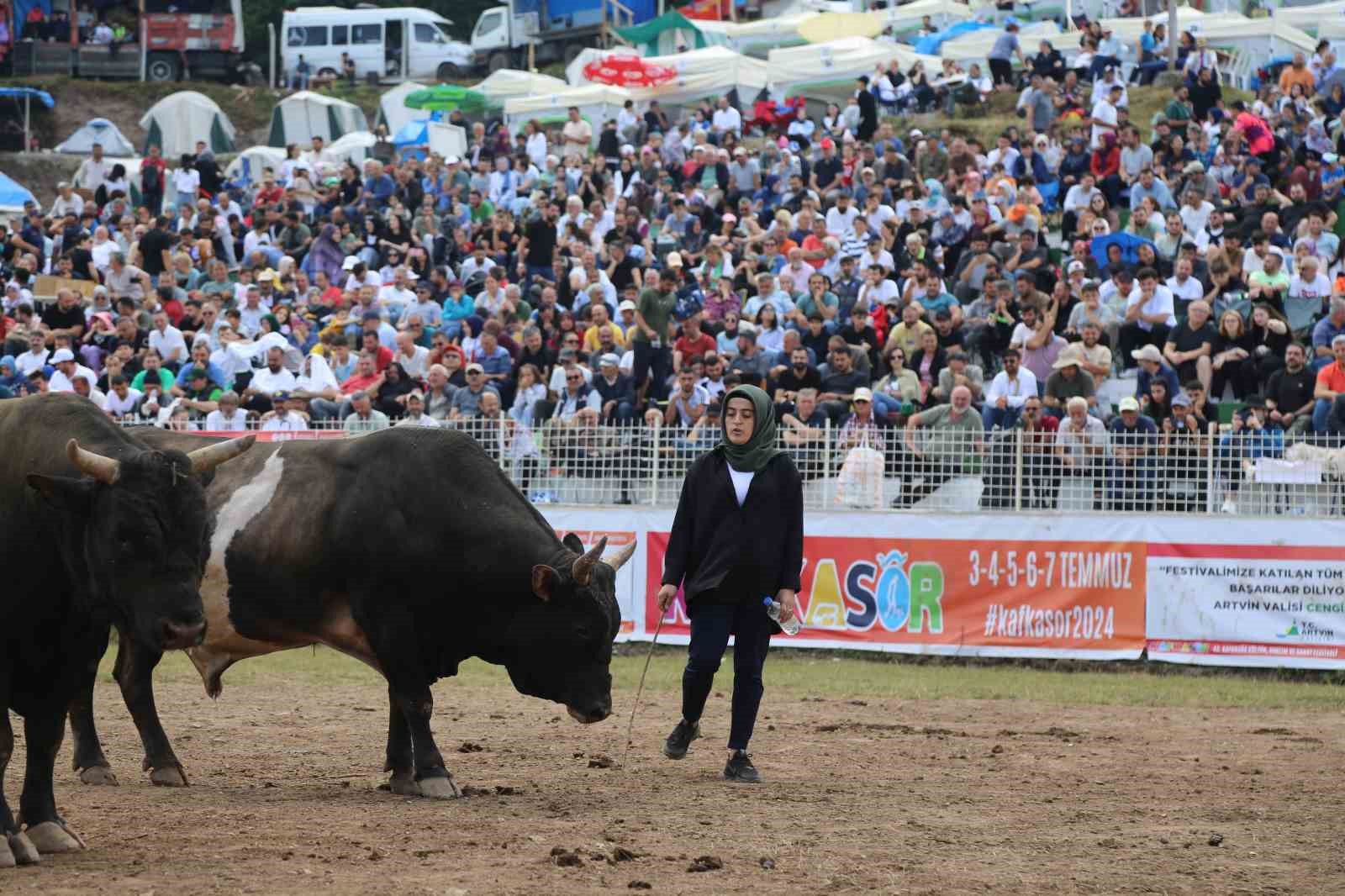 Artvinli kadın boğacının cesareti festivale damga vurdu
