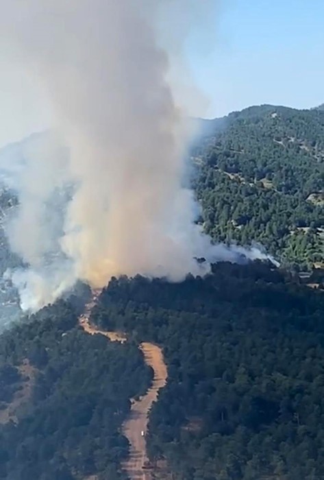 İzmir &Ouml;demiş&rsquo;te &ccedil;ıkan orman yangını kontrol altına alındı
