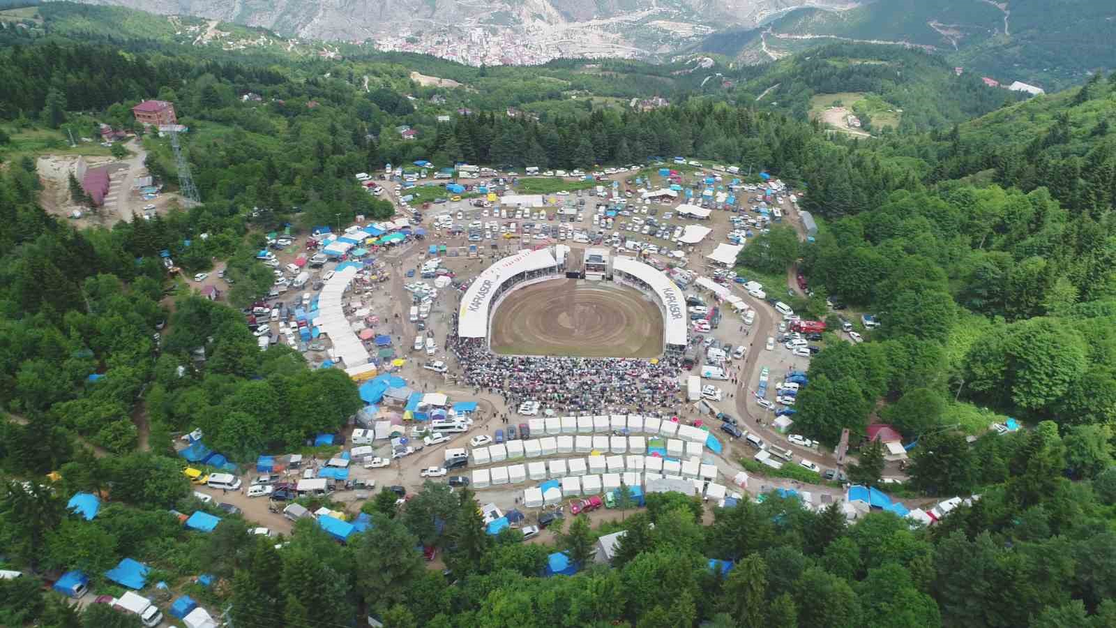 Artvin’in Kafkasör Yaylası’nda boğaların 43. randevusu nefes kesti