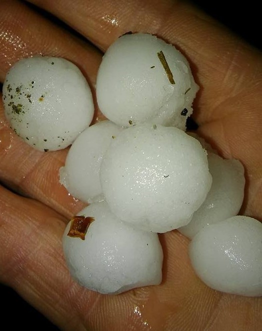 Erzincan&rsquo;da dolu yağışı sebze ve meyveyi vurdu
