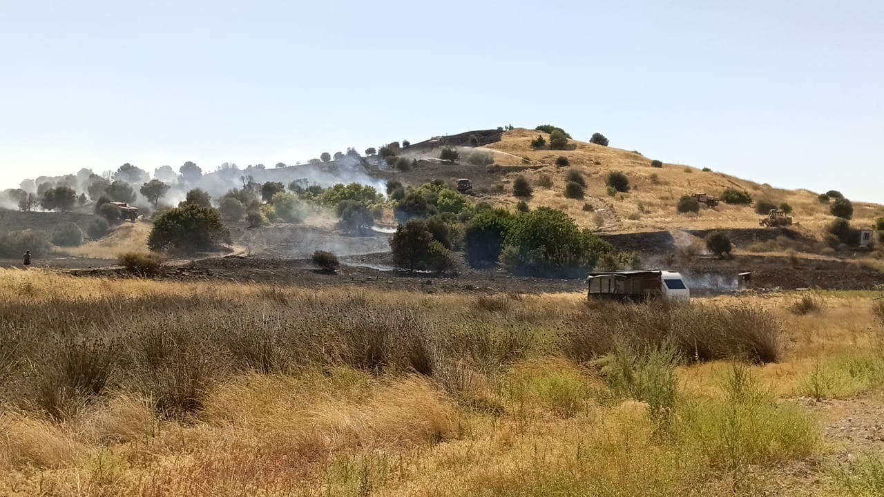 Aliağa’daki otluk yangınına havadan ve karadan müdahale