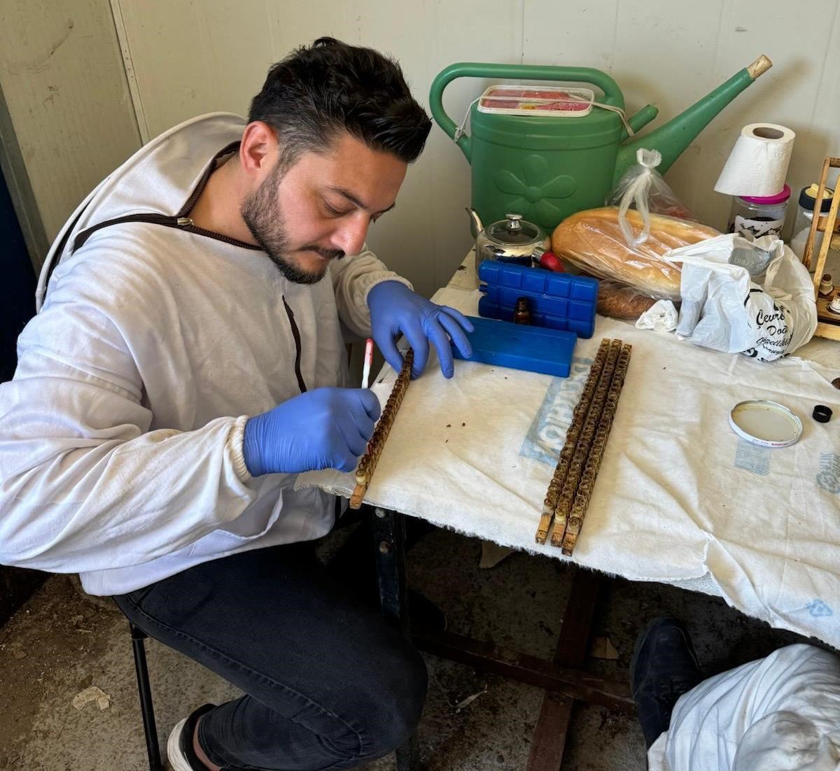 K&uuml;tahya&rsquo;da arıcılığı geliştirme projesi
