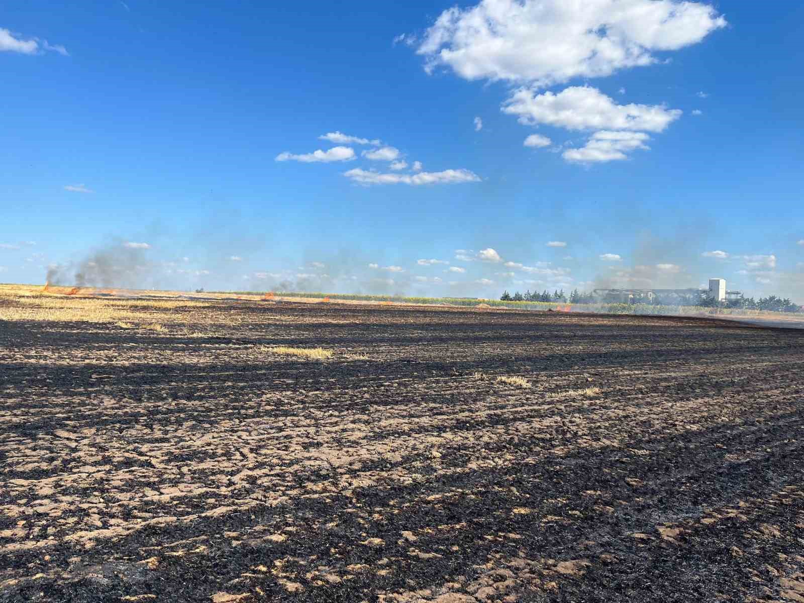 Kırklareli&rsquo;nde 100 d&ouml;n&uuml;m arazi k&uuml;le d&ouml;nd&uuml; 