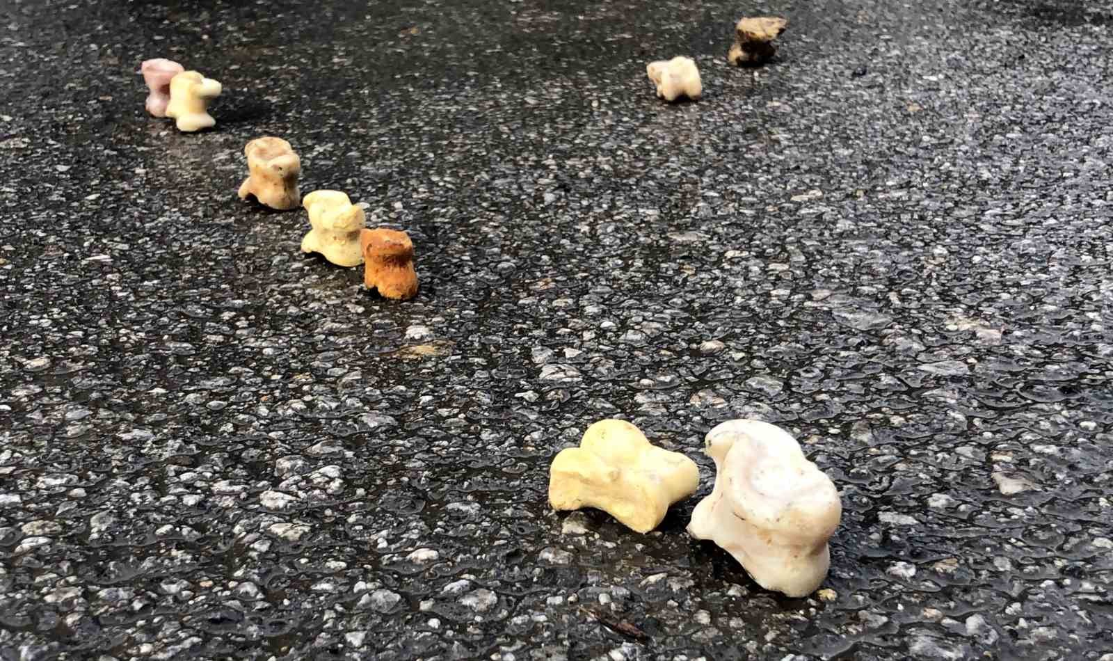 Bin yıllık &rsquo;aşık oyunu&rsquo; Erzincan&rsquo;da hayat buldu
