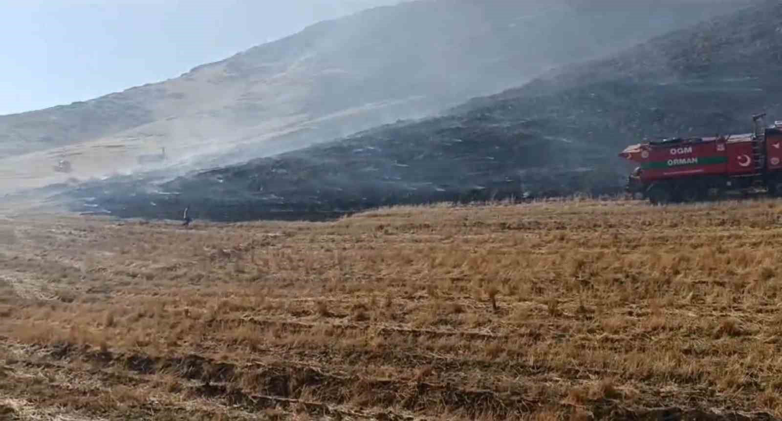 Gaziantep’te anız yangını ormanlık alana zarar verdi
