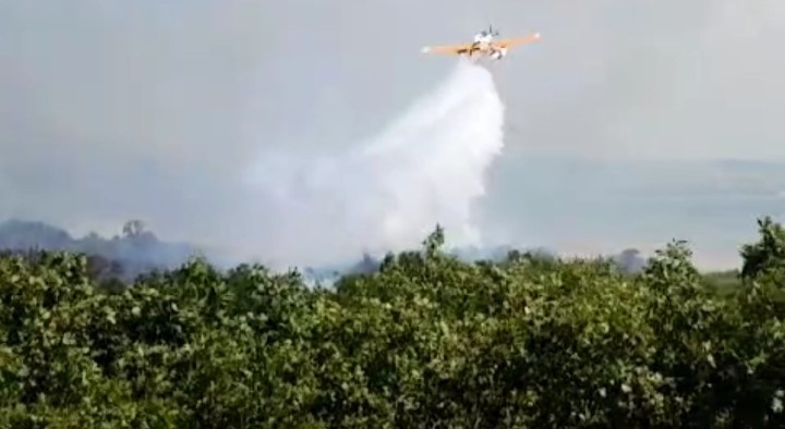 Edirne&rsquo;de &ccedil;ıkan orman yangını kontrol altına alındı
