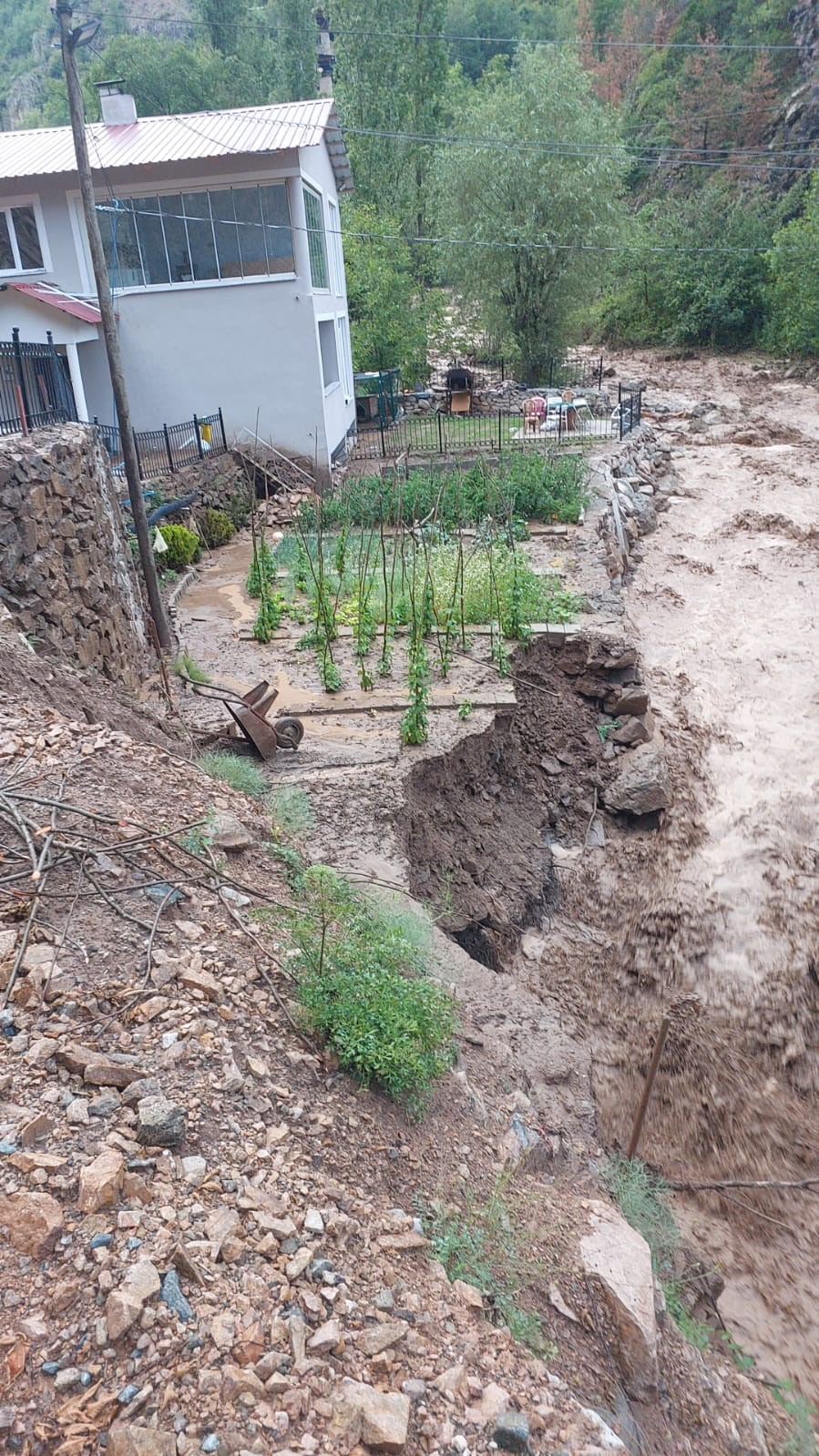 Yusufeli’de sağanak dereleri taşırdı, köprü ve yollar sel suları altında kaldı
