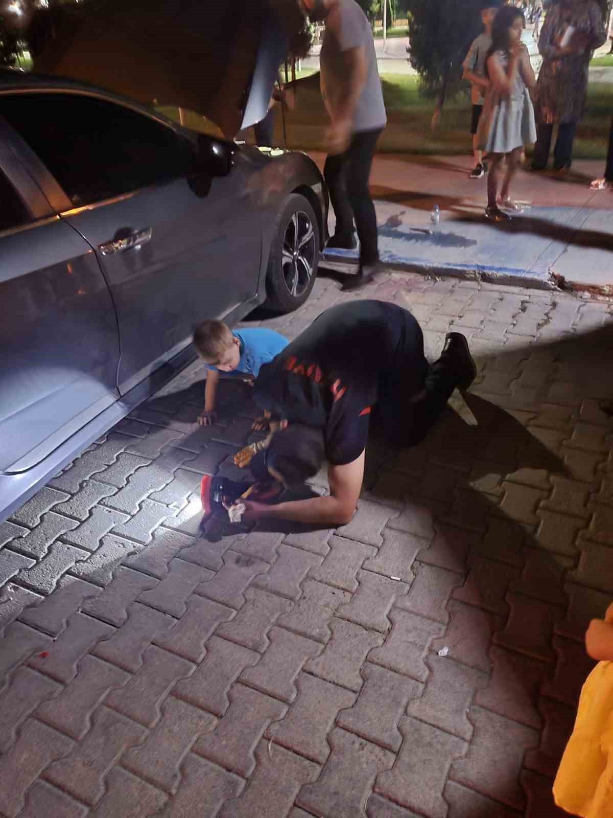 Ara&ccedil;ta sıkışan yavru kediyi itfaiye kurtardı
