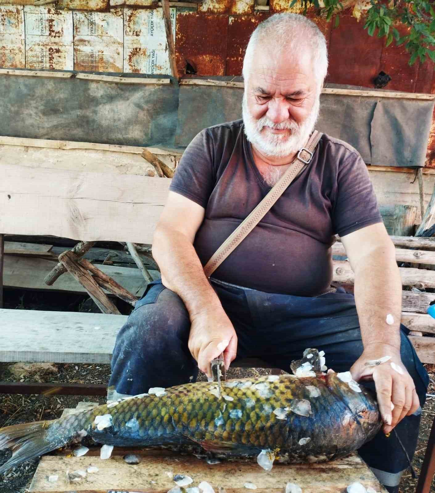 Tarlada oluşan doğal havuzda 5 buçuk kiloluk sazan avladı 