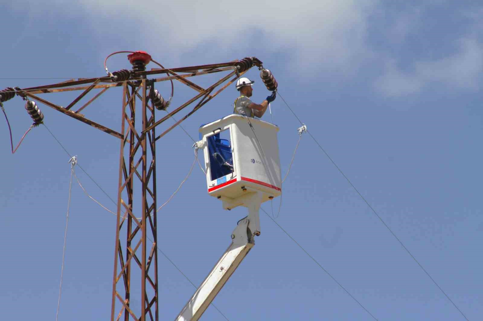 Nesli t&uuml;kenme tehlikesi yaşayan &rsquo;şah kartal&rsquo;a &ouml;zel izolasyon
