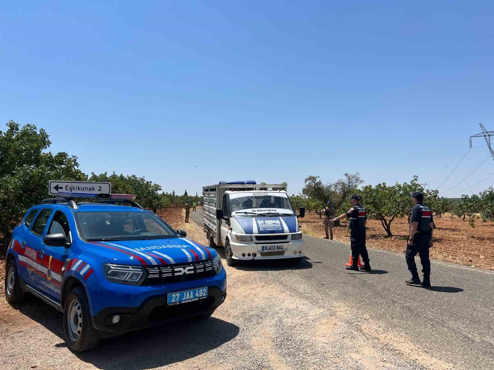 Jandarmadan &ldquo;yeşil altın&rdquo; n&ouml;beti
