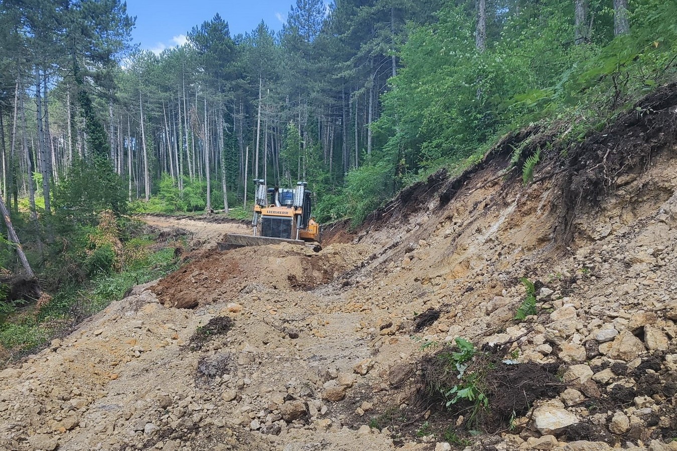 Bolu’da 12 kilometrelik orman yolu açıldı: Yangınlara daha hızlı müdahale edilecek
