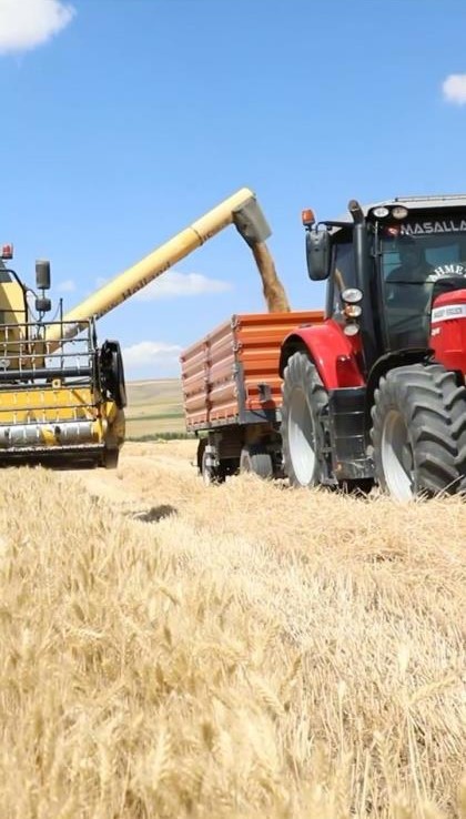 Alaca’da hasat dönemi başladı