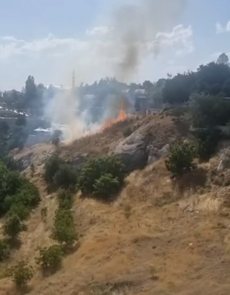 Elazığ’da otluk alanda çıkan yangın korkuttu