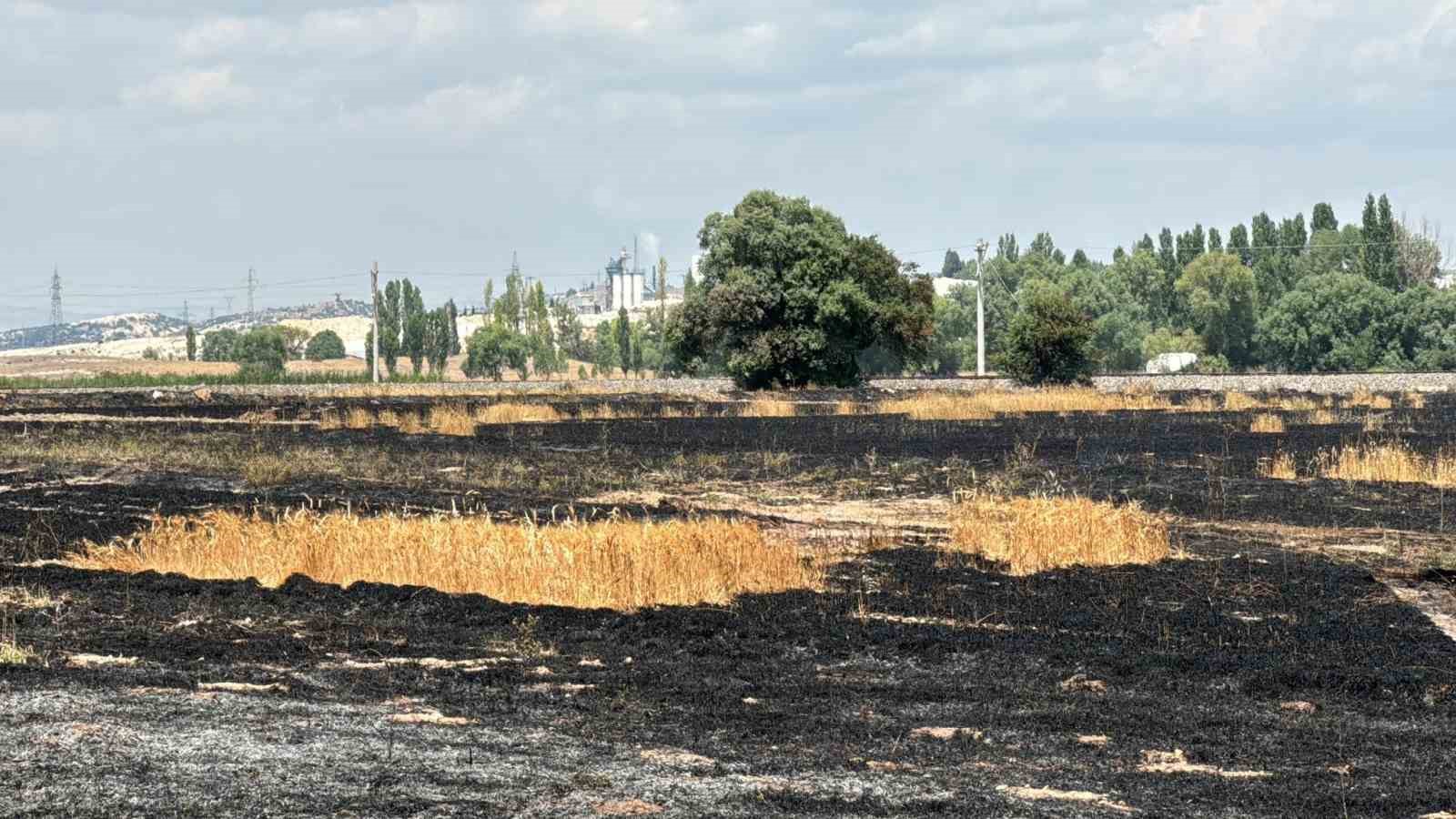 K&uuml;tahya&rsquo;da demir yolu hattında anız yangını
