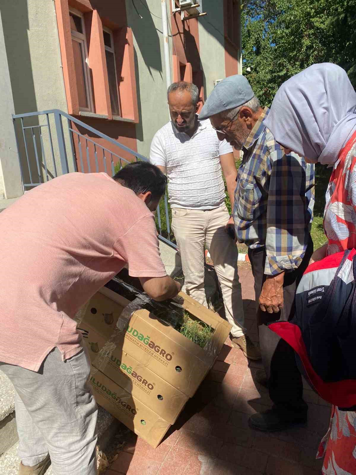 Tavşanlı&rsquo;da &rsquo;&Ouml;lmez otu&rsquo; fide teslimi ve dikim işleri yapıldı
