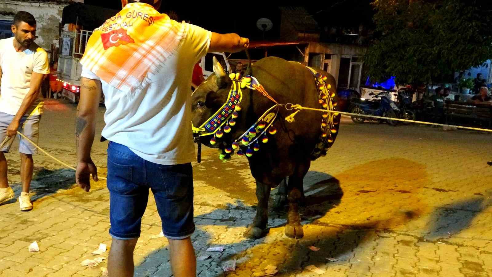 Piste çıkan boğaları para yağmuruna tuttular
