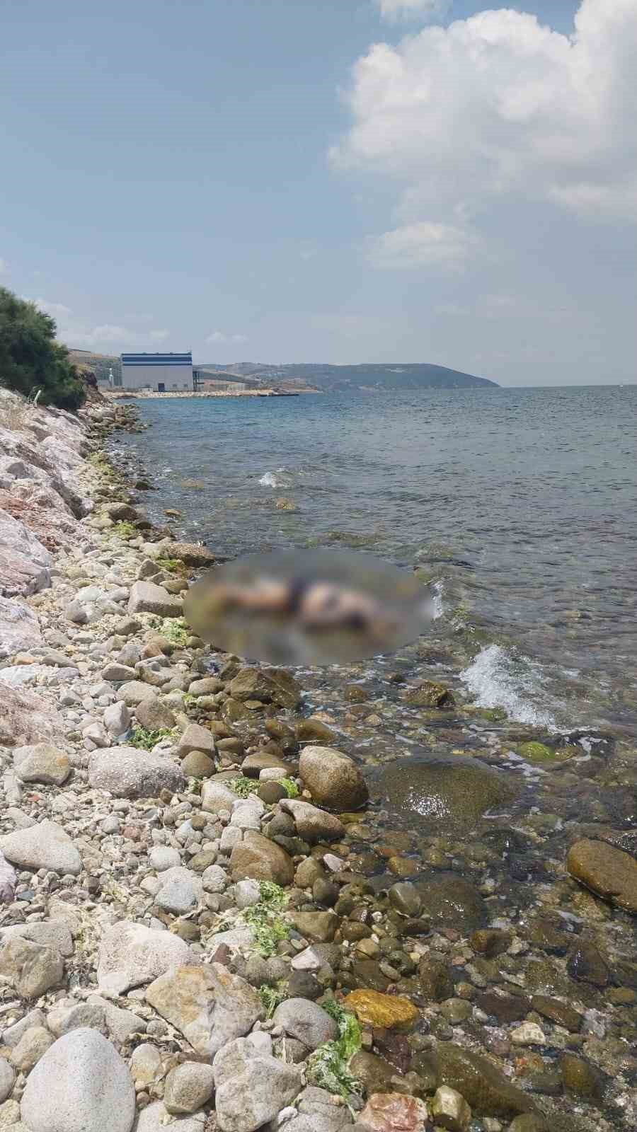 Erdek’te denizde kaybolan kadının cansız bedenine ulaşıldı