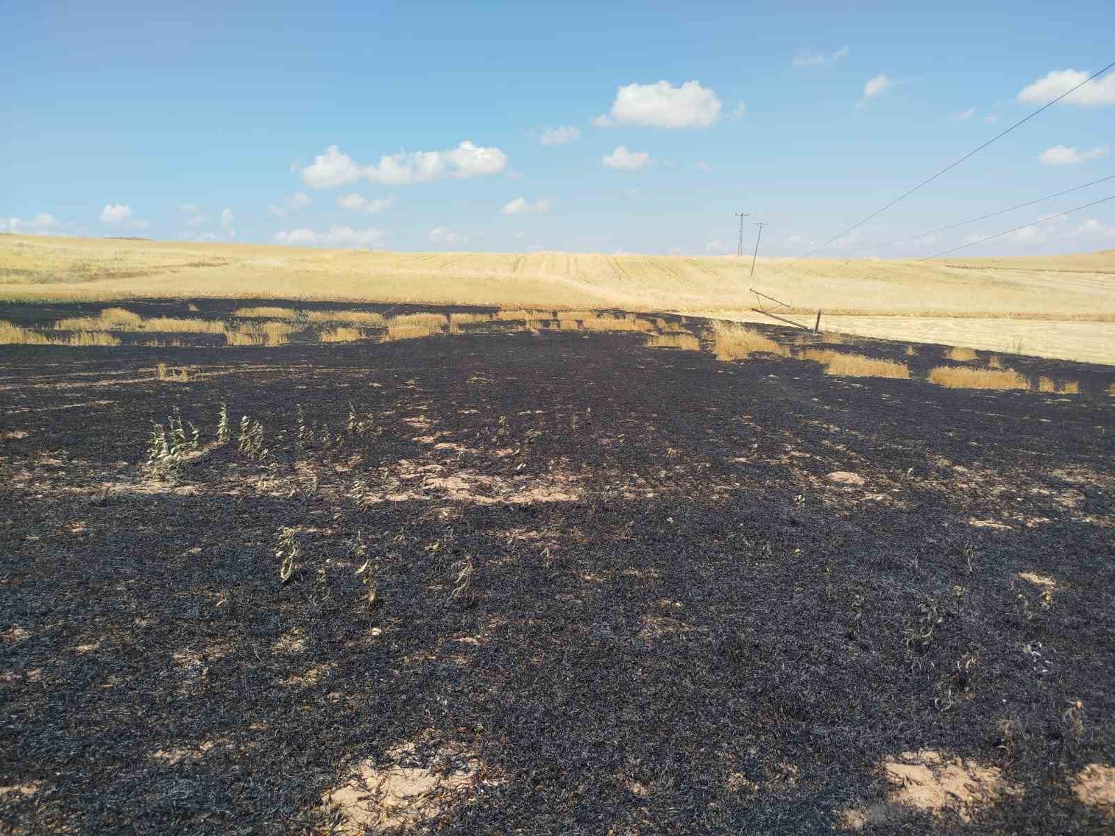 &Ccedil;orum&rsquo;da 15 hektar ekili arazi yangında k&uuml;l oldu
