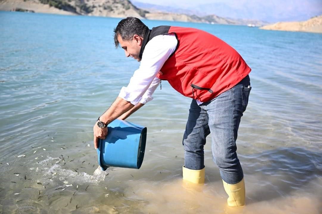 Kahramanmaraş’ta 916 bin adet yavru sazan balığı doğal ortamına kavuştu