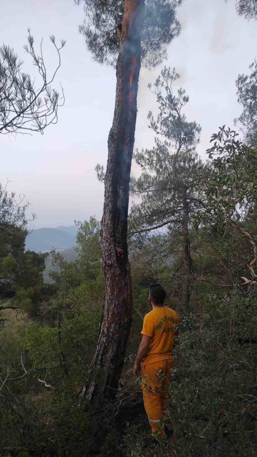Yıldırımın neden olduğu yangın kısa s&uuml;rede s&ouml;nd&uuml;r&uuml;ld&uuml;

