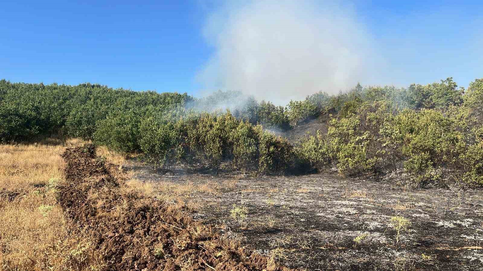 Bingöl’de çıkan orman yangını büyümeden söndürüldü
