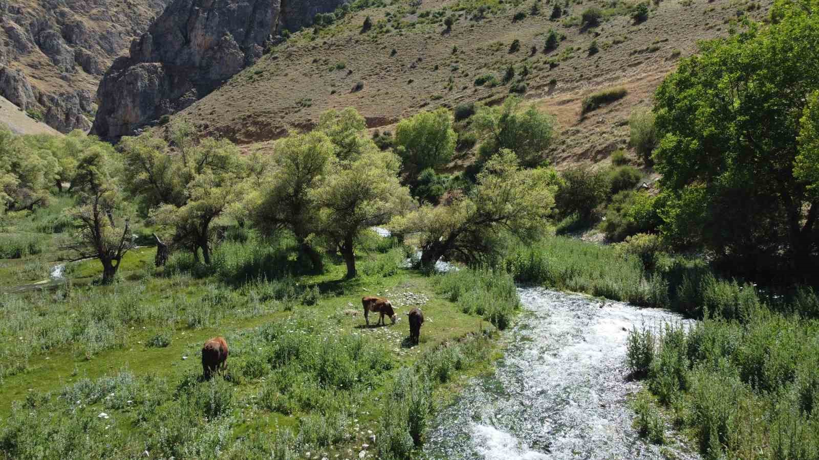 Girlevik Şelalesi&rsquo;ne hayat veren g&ouml;zeler, ziyaret&ccedil;ilerin uğrak yeri oldu
