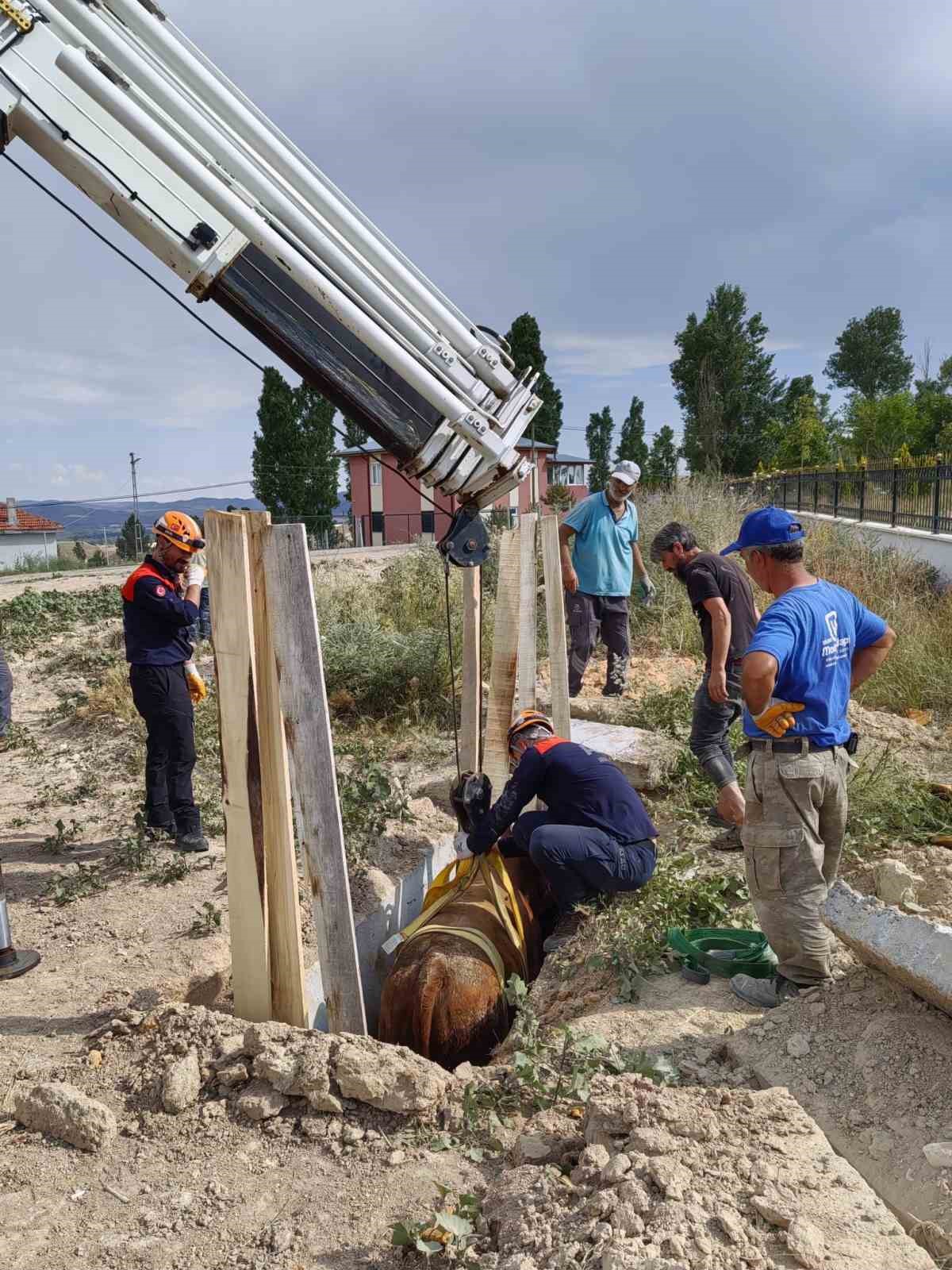 Düştüğü menfezde mahsur kalan inek kurtarıldı
