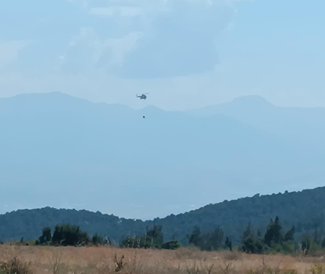 Ormanlık alanda &ccedil;ıkan yangın kısa s&uuml;rede s&ouml;nd&uuml;r&uuml;ld&uuml;
