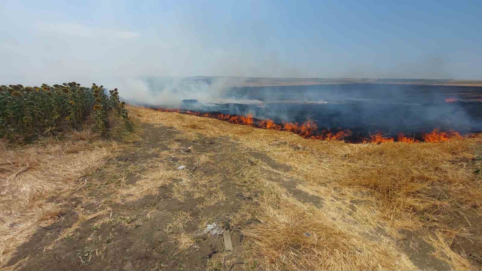 Tekirdağ&rsquo;da bin 500 d&ouml;n&uuml;ml&uuml;k alan yandı: 1 yaralı
