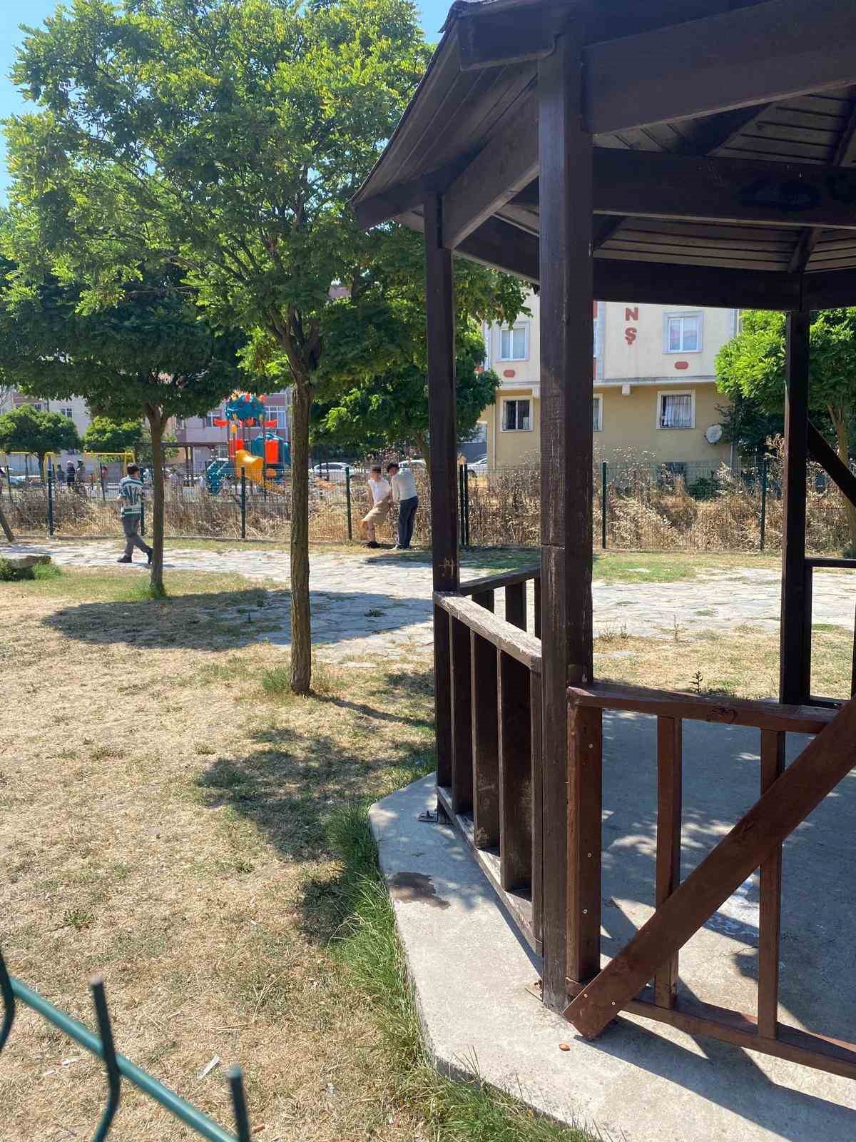 Uyuşturucu madde etkisindeki şahıs parkta soyundu

