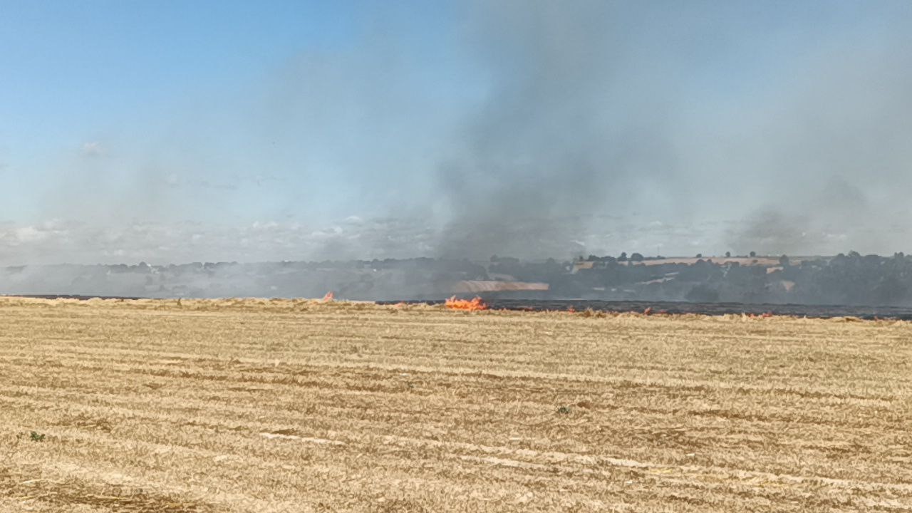 Tekirdağ&rsquo;da anız yangını
