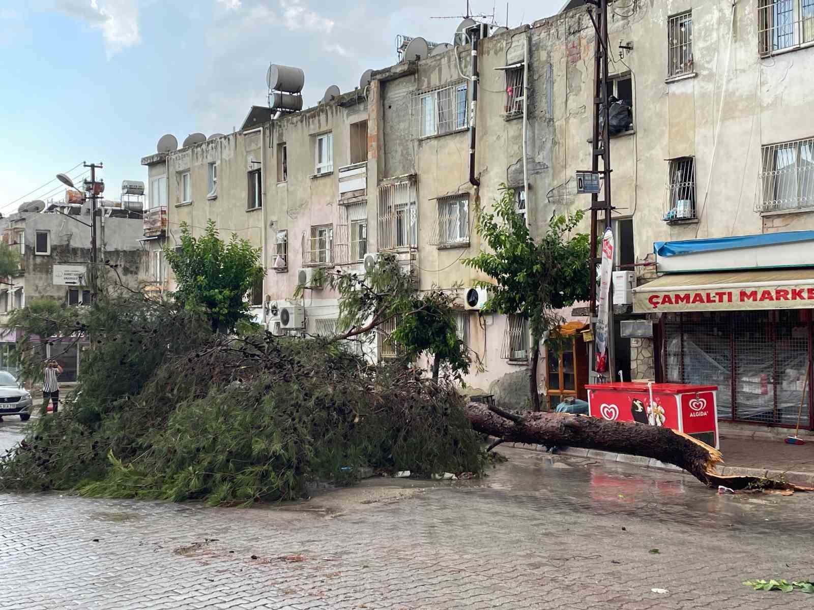 Şiddetli yağmur ve r&uuml;zgar ağa&ccedil;ları k&ouml;k&uuml;nden s&ouml;kt&uuml;, vinci devirdi 