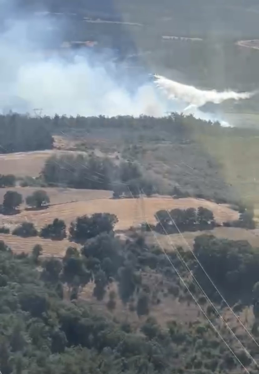 &Ccedil;an&rsquo;daki orman yangını kontrol altına alındı
