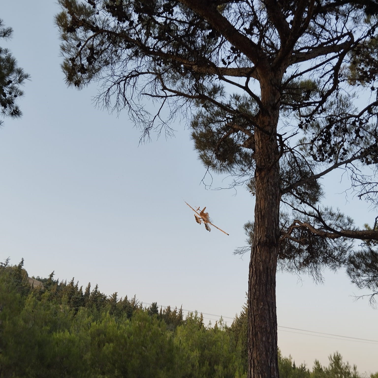 Piknik ateşinden çıkan orman yangını söndürüldü