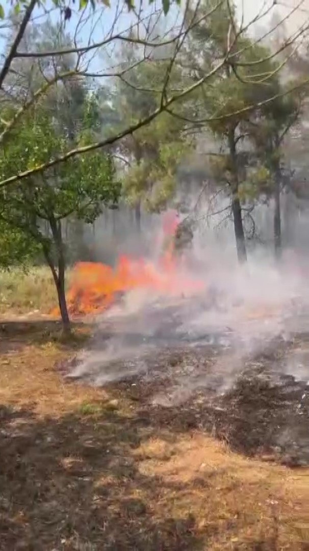 Maltepe&rsquo;de korkutan orman yangını
