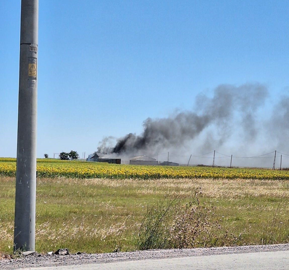 Tekirdağ&rsquo;da &ccedil;iftlikte yangın
