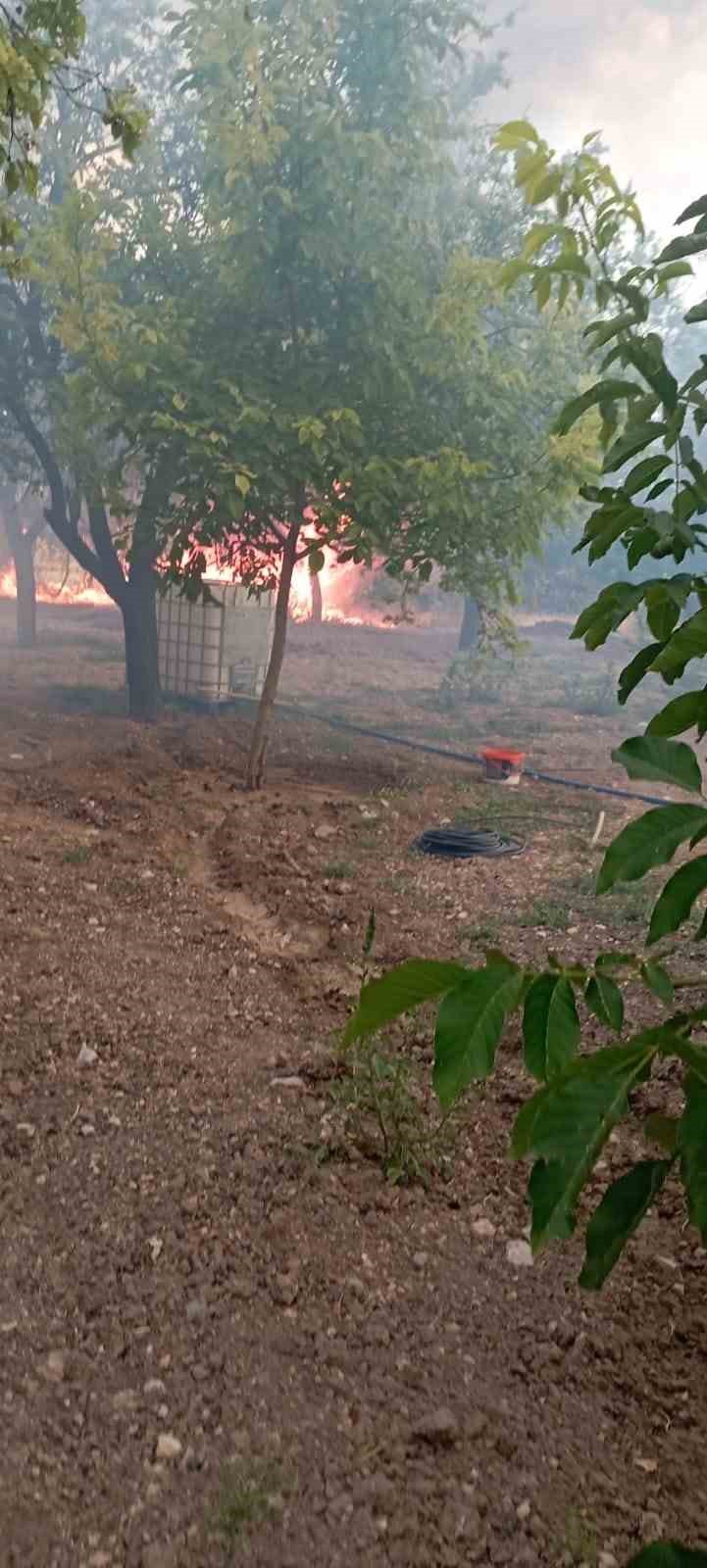 Elazığ’da bahçede korkutan yangın