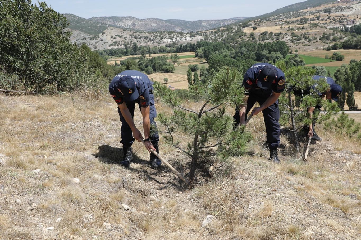 K&uuml;tahya&rsquo;da 15 Temmuz şehitleri anısına fidan dikildi
