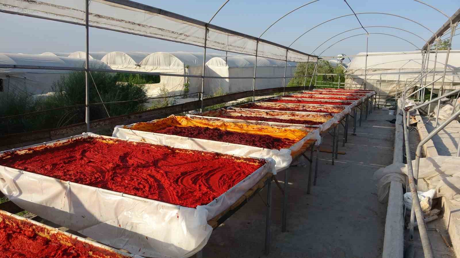 Mersin’de biber salçası üretimi başladı