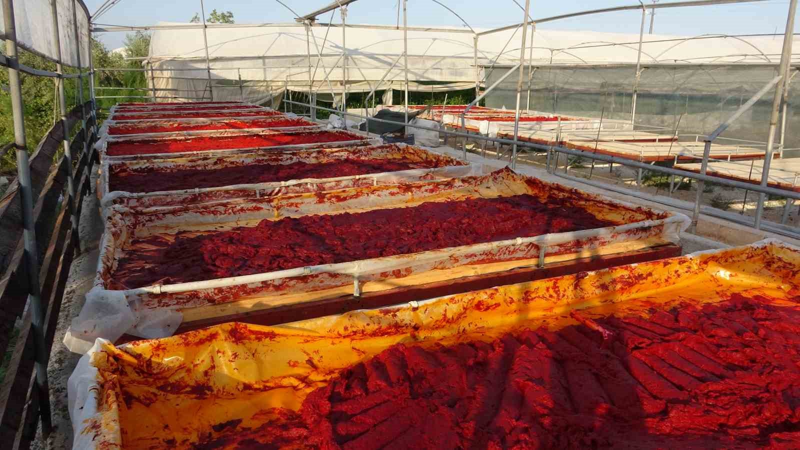 Mersin&rsquo;de biber sal&ccedil;ası &uuml;retimi başladı
