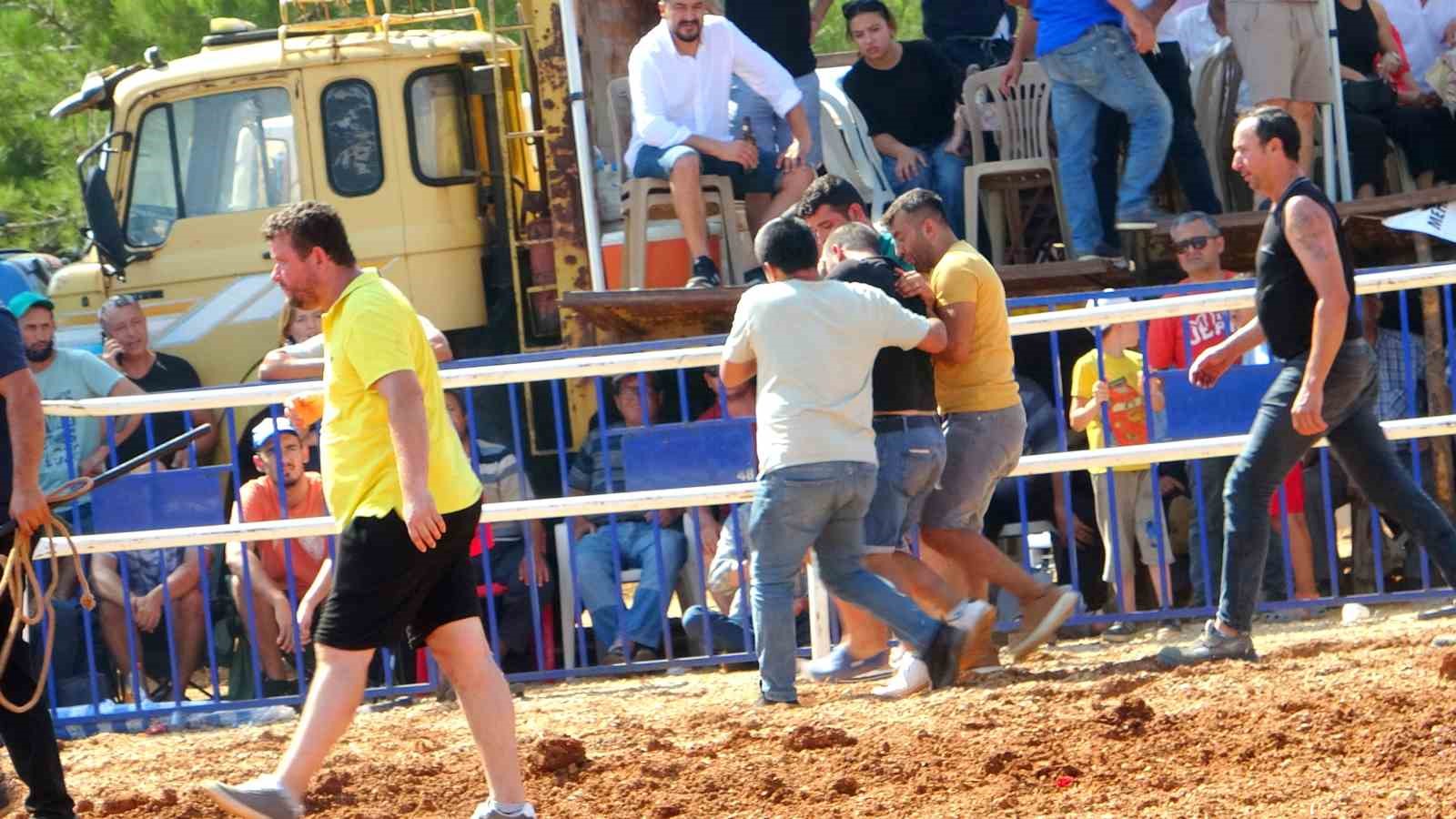 Rakibine yenilen boğa, öfkesini sahibinden çıkardı
