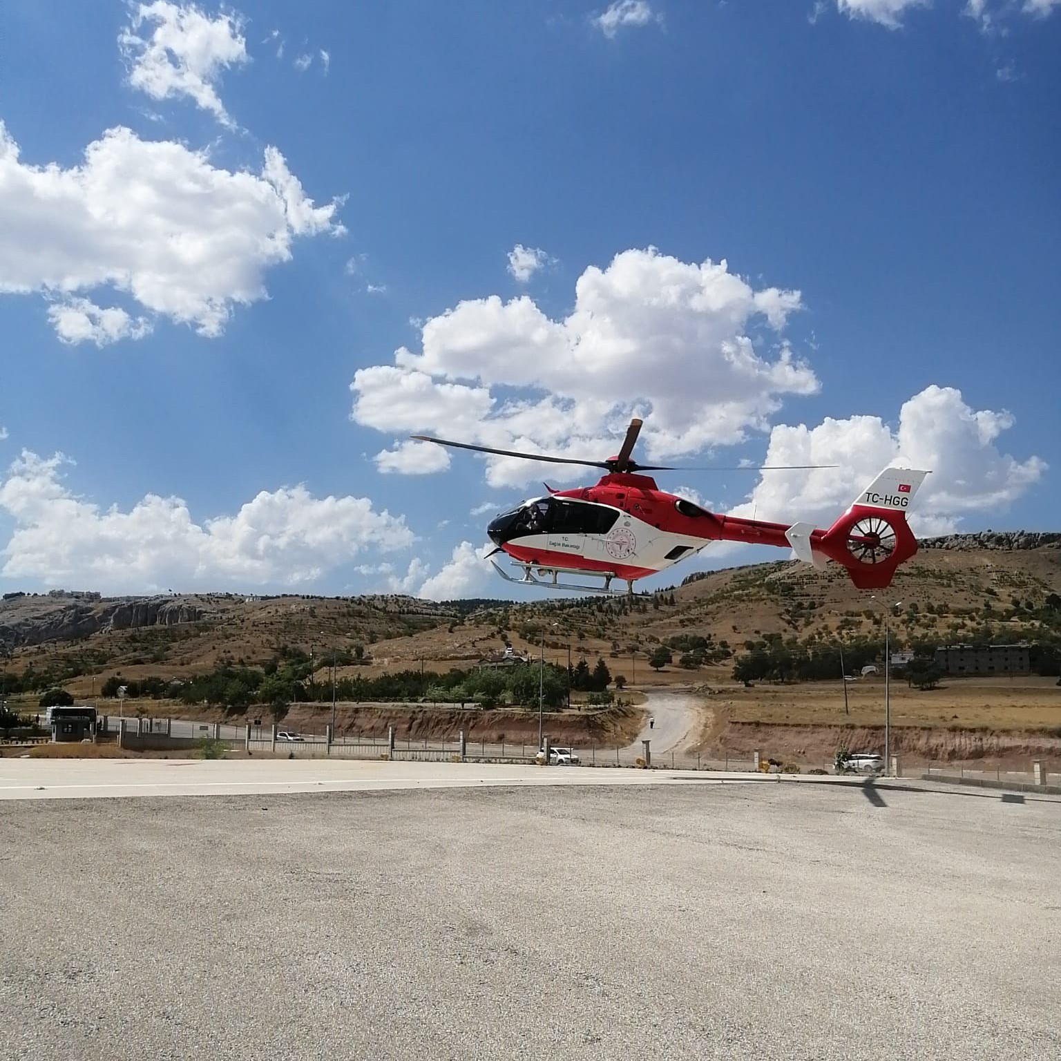 Yılanın soktuğu çocuk, Elazığ’da tedavi altına alındı