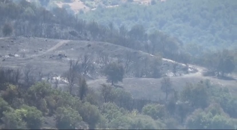&Ccedil;anakkale&rsquo;de orman yangınını kontrol altına alma &ccedil;alışmaları s&uuml;r&uuml;yor
