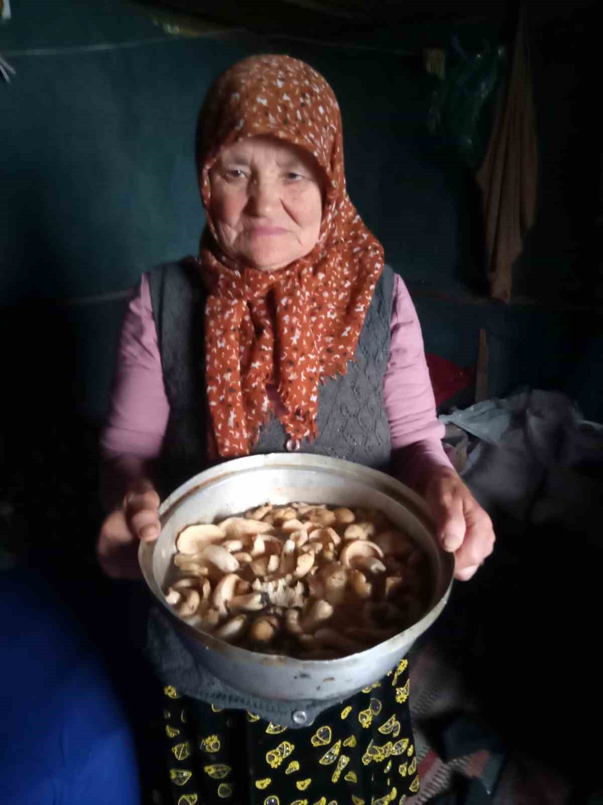 Giresun yaylalarında mantar bereketi
